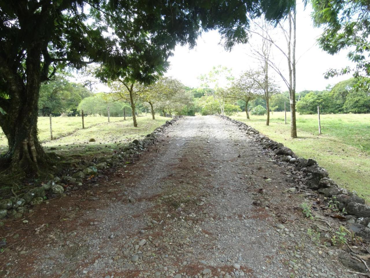 Horquetas River Lodge Sarapiquí Exterior photo