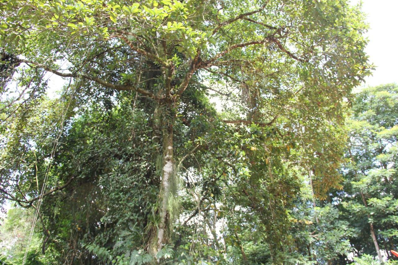 Horquetas River Lodge Sarapiquí Exterior photo